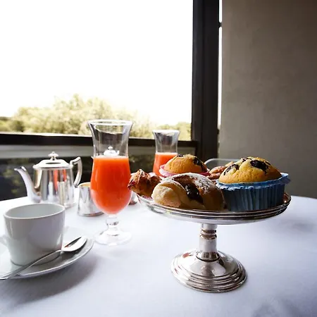 阿拉巴尼罗马酒店 罗马